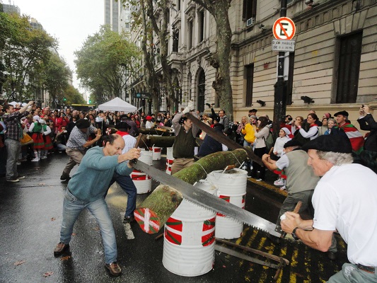 Buenos Aires celebra 2014 III 01